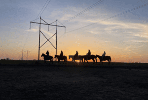 Diamond Springs Ranch Wichita KS